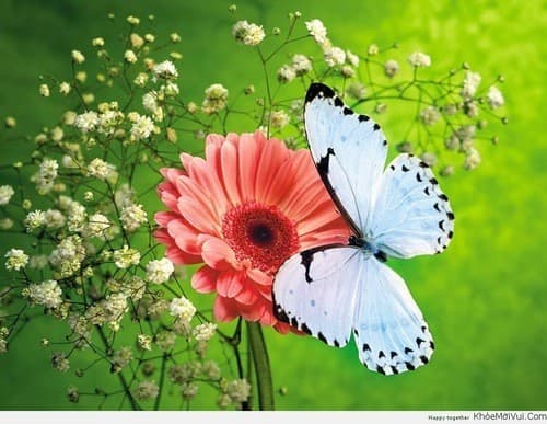 Các bệnh thường gặp mùa xuân phổ biến nhất