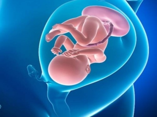 Hiện tượng này có thể ảnh hưởng tới sự cung cấp nguồn dinh dưỡng từ mẹ tới thai nhi khiến thai chậm phát triển