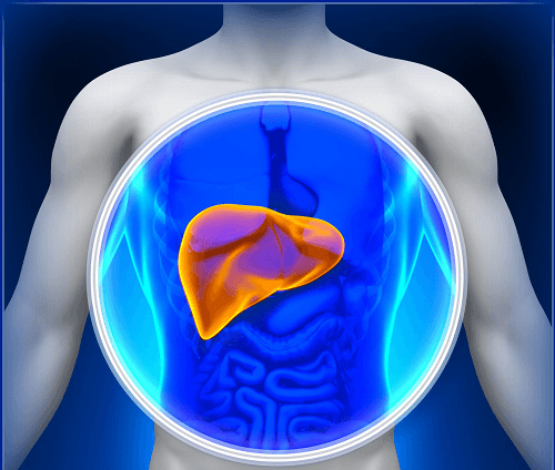 nhung-dieu-can-phai-lam-ngay-khi-bi-viem-gan-b4