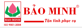 Bảo hiểm Bảo Minh
