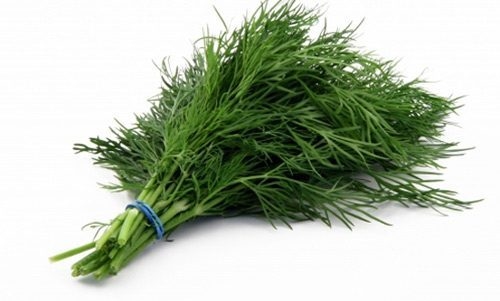 Thìa là cũng giúp hạn chế các triệu chứng đau dạ dày và đầy hơi.