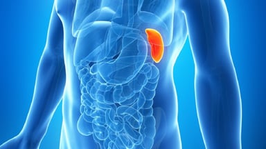 Tìm hiểu về đau lá lách Có nhiều nguyên nhân khác nhau