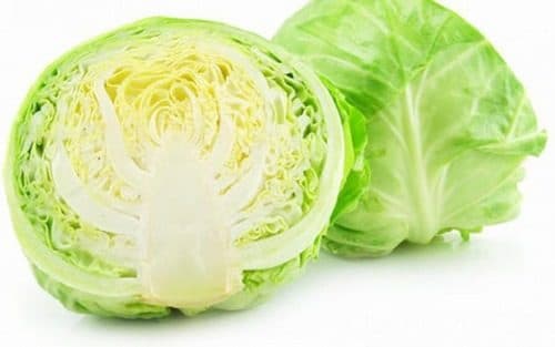 cải bắp là thực phẩm tốt cho dạ dày