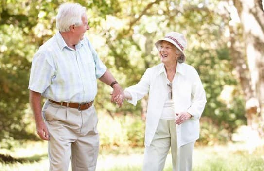 Nguyên nhân thường gặp nhất gây sa sút trí tuệ là hẹp hoặc tắc hoàn toàn một hay nhiều mạch máu dẫn lên não.