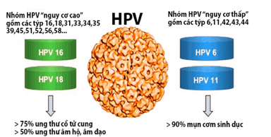 Điều trị HPV như thế nào? có ung thư cổ tử cung
