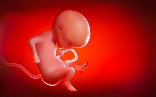 Nồng độ Beta HCG có nhiệm vụ kích hoạt các tế bào mầm của bào thai phát triển và trưởng thànha