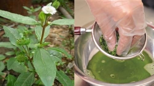 Cách chữa đau dạ dày bằng nhọ nồi được nhiều người áp dụng tại nhà đơn giản, không tốn kém