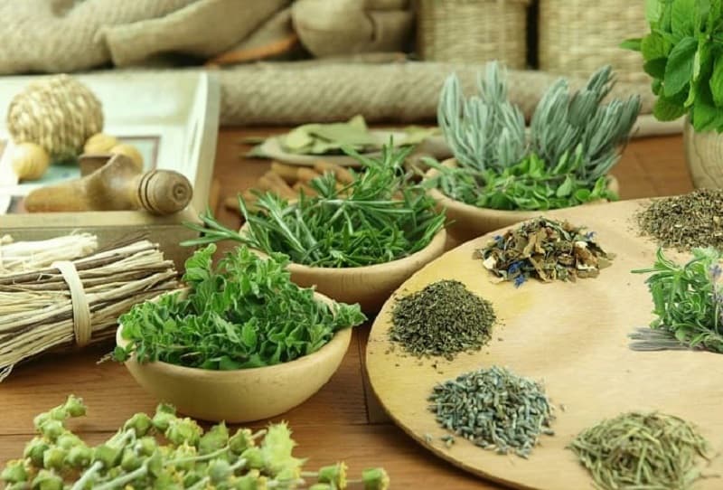 Thuốc nam thường chỉ có tác dụng hỗ trợ điều trị các triệu chứng bệnh
