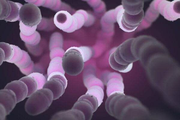 Vi khuẩn, virus là tác nhân chính gây ra bệnh viêm amidan ở mọi người hiện nay