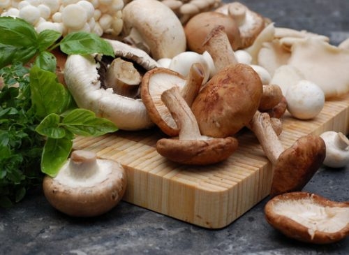Nấm có tác dụng tuyệt vời trong tăng sức đề kháng cho cơ thể, chống lão hóa, giảm nguy cơ mắc ung thư