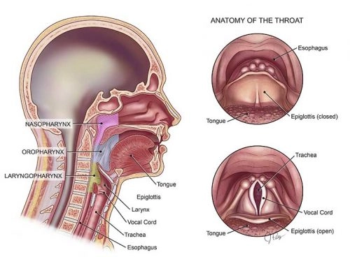 Ung thư vòm họng phổ biến hàng đầu trong các bệnh ung thư vùng đầu cổ