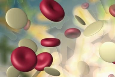 Bạch cầu tăng có sao không?