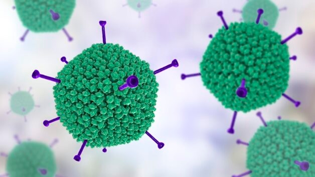 Adenovirus là virus phổ biến nhất trong các virus có thể gây đau mắt đỏ