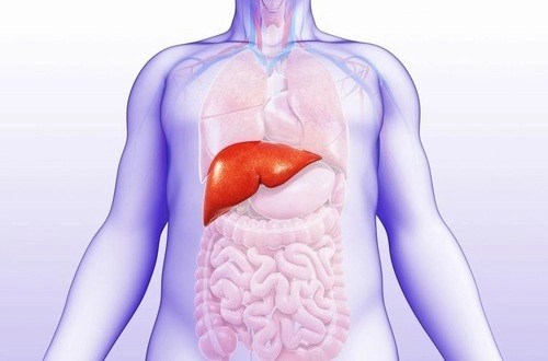 Nước tiểu có màu vàng đậm là triệu chứng điển hình của bệnh lý gan mật