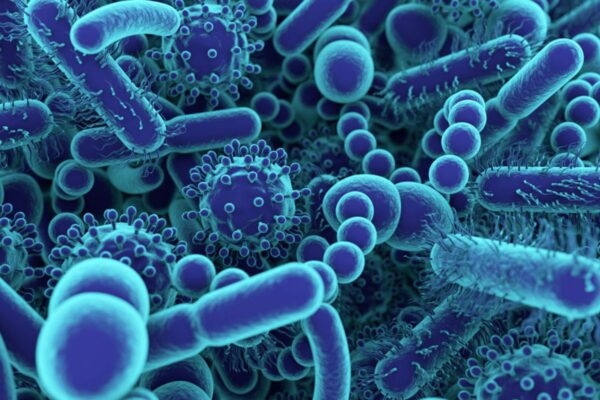 Virus, vi khuẩn... tấn công và làm tổn thương mũi xoang