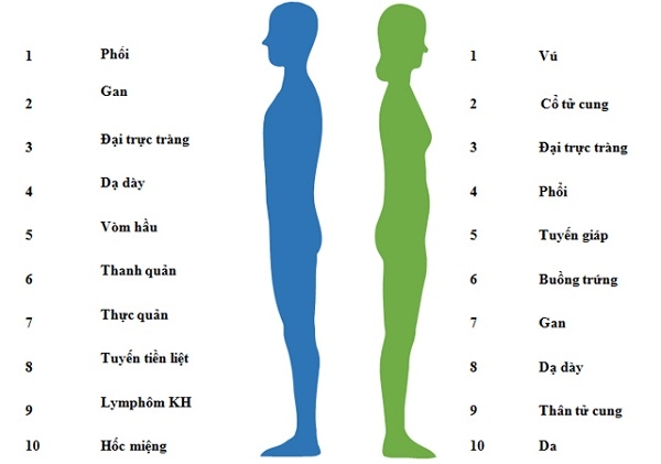 Tầm soát ung thư giúp phát hiện hầu hết ung thư trên cơ thể