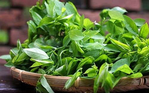 ba-de-nen-an-rau-gi-1-min