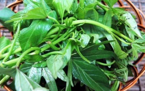 ba-de-nen-an-rau-gi-2-min