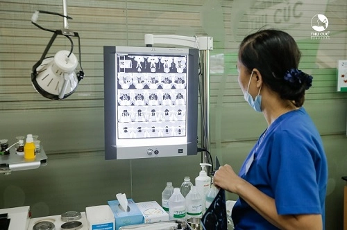 Bệnh viện Thu Cúc có đội ngũ bác sĩ chuyên khoa Tai Mũi giỏi trực tiếp thăm khám, điều trị