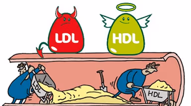 Cách giảm LDL cholesterol trong máu hiệu quả khi nào