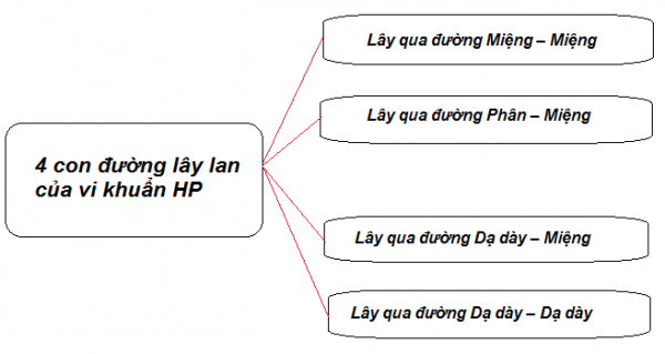 các con đường lây nhiễm vi khuẩn HP
