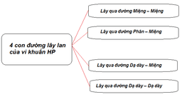 Vi khuẩn HP lây qua đường nào?
