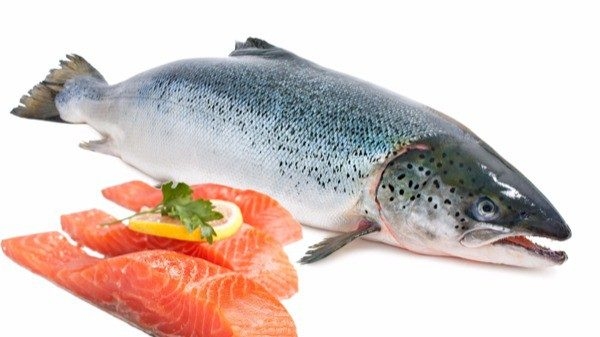 Cá hồi tốt cho người mắc bệnh cường giáp. (ảnh minh họa)