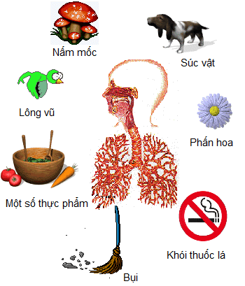 tác nhân khiến bệnh hen phế quản tái phát