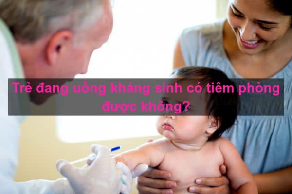 Trẻ uống kháng sinh có tiêm phòng được không là vấn đề được rất nhiều bậc phụ huynh quan tâm