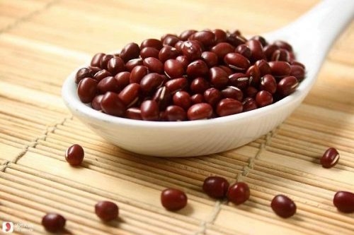Ăn gì nhanh hết sản dịch
