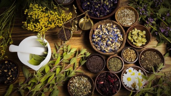 Có nên chữa sỏi đường tiết niệu bằng thuốc nam