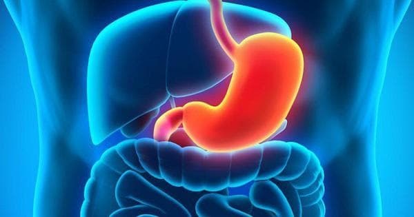 Dạ dày cần được kiểm tra ngay khi chưa có dấu hiệu (ảnh minh hoạ)