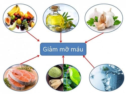 máu nhiễm mỡ nên ăn gì