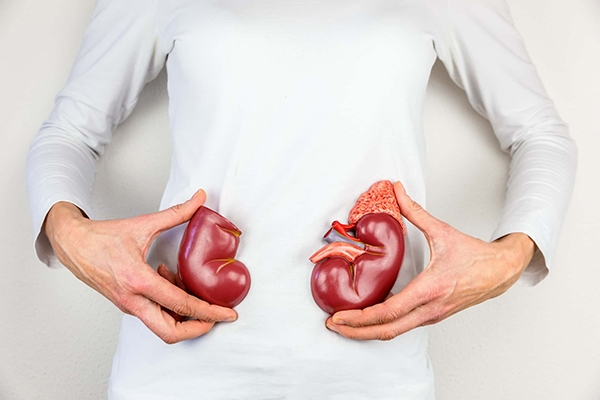 Đường tiết niệu và đường sinh sản là hai đường khác nhau nên tán sỏi không ảnh hưởng đến chức năng sinh sản (ảnh minh họa)