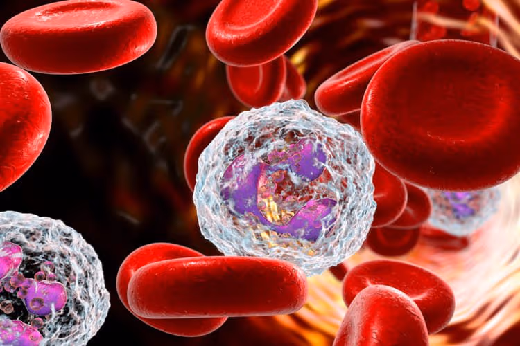 Bạch cầu tăng cao có nguy hiểm không? dấu hiệu nhận biết