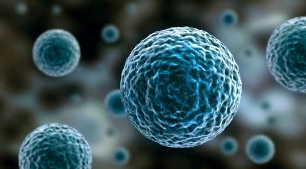 cảnh báo ung thư gia tăng