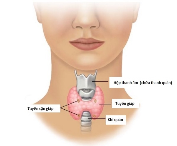 xét nghiệm tầm soát ung thư tuyến giáp