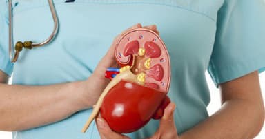 Người mắc bệnh suy thận độ 1 nên uống thuốc gì để nhanh khỏi