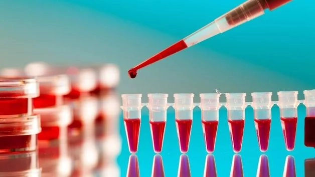 mẫu giấy khám sức khỏe an toàn thực phẩm gồm những gì