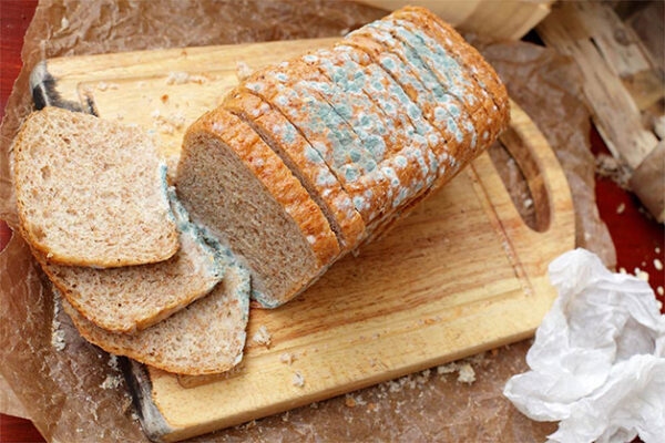 Xét nghiệm tầm soát ung thư gan bao gồm những gì