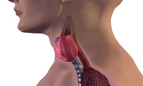 Tầm soát ung thư tuyến giáp là khám những gì