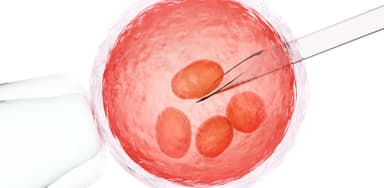 Giải đáp thắc mắc: Bơm tinh trùng bao lâu thì biết có thai?