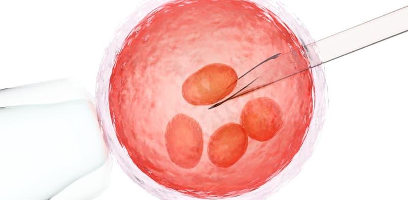 Giải đáp thắc mắc: Bơm tinh trùng bao lâu thì biết có thai?