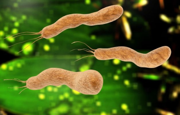 xét nghiệm virus HP ở đâu