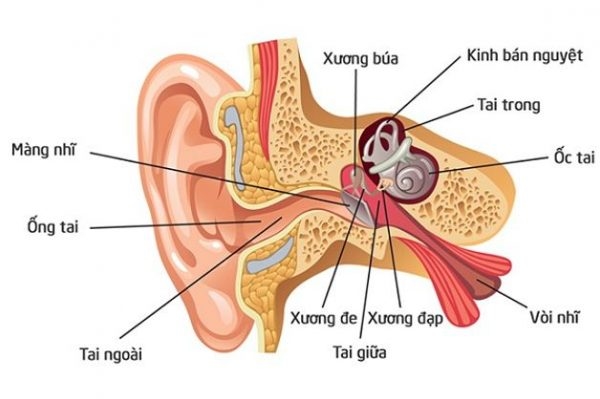 viêm ống tai ngoài có mủ