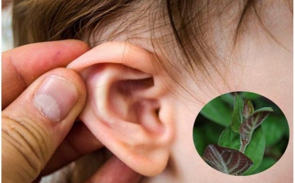 trị viêm tai ngoài