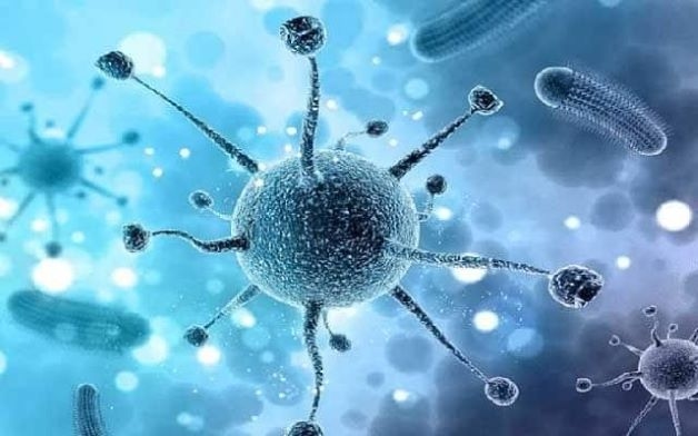 Tác nhân gây ra bệnh viêm phế quản ở trẻ chủ yếu là do virus. Bệnh thường xuất hiện ở trẻ bị viêm hô hấp, cảm lạnh, sổ mũi, cúm, viêm xoang...