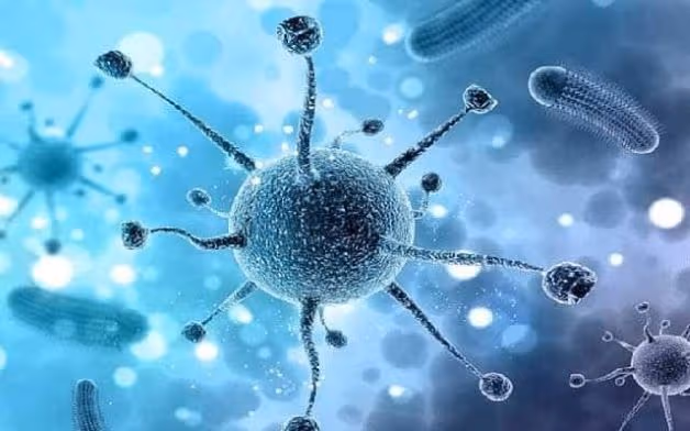 Tác nhân gây ra bệnh viêm phế quản ở trẻ chủ yếu là do virus. Bệnh thường xuất hiện ở trẻ bị viêm hô hấp, cảm lạnh, sổ mũi, cúm, viêm xoang...