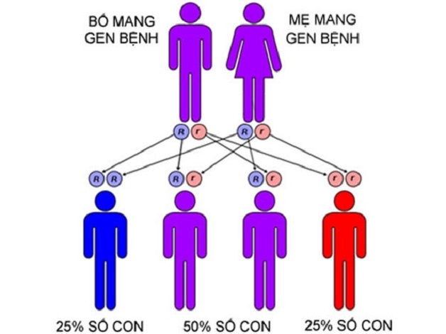 Quy trình xét nghiệm gen tầm soát ung thư như thế nào?