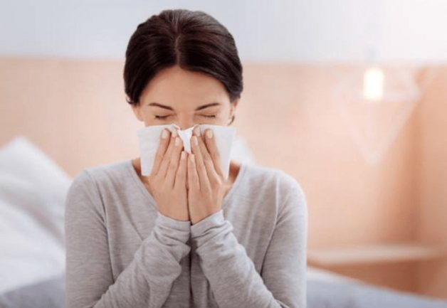 Vị trí xoang bướm ở đâu?